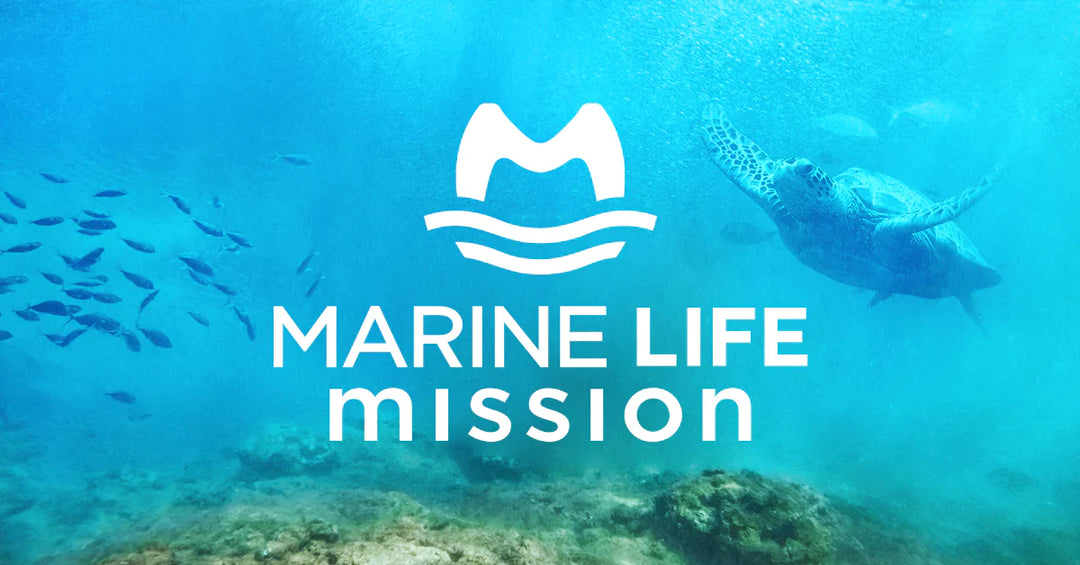 Saviors of Sea Life 0000002384